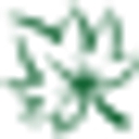 Ecoyards logo