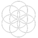 Hudson Functional Medicine logo