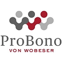 Von Wobeser y Sierra logo