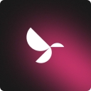Colibrity Agency logo