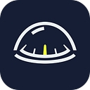 Savvy Navvy logo