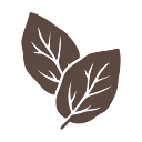 Pina Business Services logo