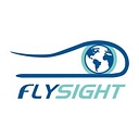 FlySight logo