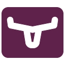 Longhorn logo