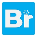 BRIO Analytics logo