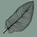 Urban Jungle logo