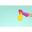 Dream Team Cleaning logo