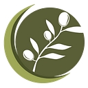 Back To Earth logo