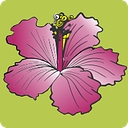 Aloha Cleaners logo