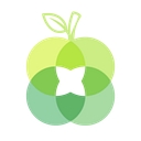 Summerfield Custom Wellness logo