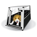 Safe Crate logo