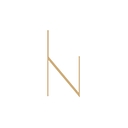 Intentionally Natural logo