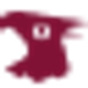 Thunderbird Custom Design logo