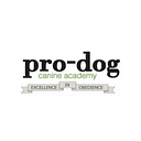 Pro-Dogk9 At-Home Training & Hidden Fences logo