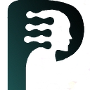 Platform Executive logo