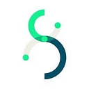 DSFederal logo