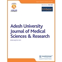 aujmsr logo