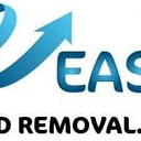 Ez MoldRemoval logo