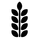 Stemly Tutoring logo