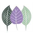 Aesthetica Plastic Surgery logo