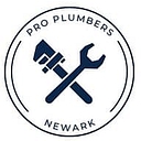 Pro Plumbers Grapevine logo