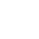 PruE.ai logo