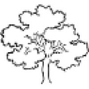 OakTree Financial Planning logo