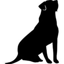 West Palm Dog logo