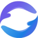 Networking Pulse logo