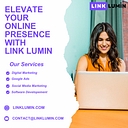 LinkLumin logo