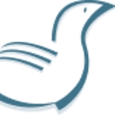 Southlake Plastic Surgery logo
