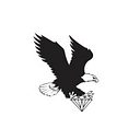 USA Micro Setting and Finishing Inc logo