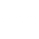 Wasserman Accounting logo