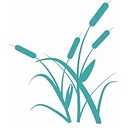 Senior Care Options logo