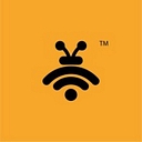 Netmaxims logo