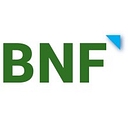 BNF Consulting logo