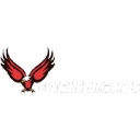 Eagle Lights logo