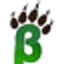Bear Environmental logo