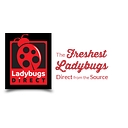 Lady Bugs Direct logo
