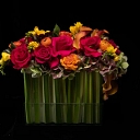 Mahir Floral & Event Designs logo