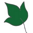Ivy Planners logo