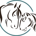 EQUUSOMA logo
