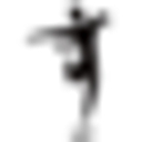 figureskatingstore.com logo