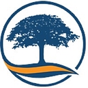 Brazos Insurance Agency logo