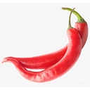 Paprika Catering logo