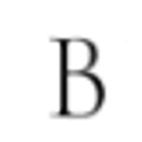 Be Styled Co. logo