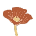 Poppy and Vine Visual logo