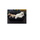 Arctic Tails logo