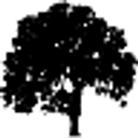 MRO Landscaping LLC logo