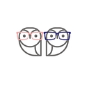 OWL Professional Coaching logo